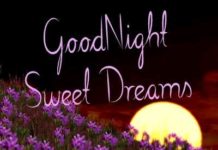 Lovely Good Night Images