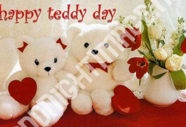 Best Happy Teddy Day Messages & Images