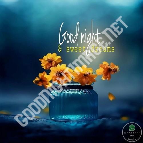 Good Night Wishes Pics Download for friend